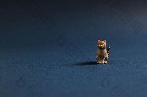 可爱的猫微型静物照片
