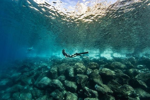 freediver潜水水下浅水tenerife金丝雀岛屿西班牙