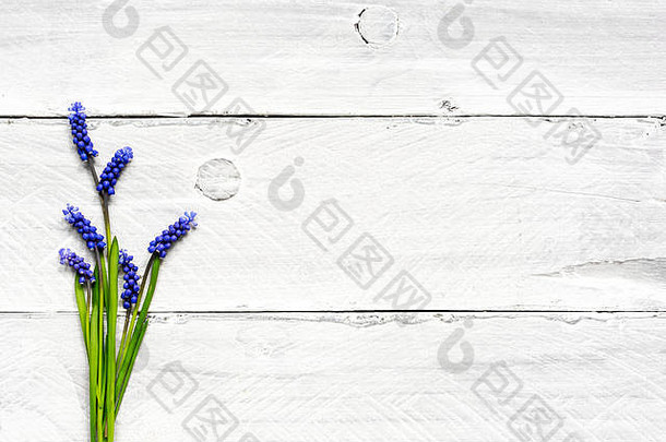 春天，蓝色的花朵盛开在白色的木桌上。具有空间的俯视图