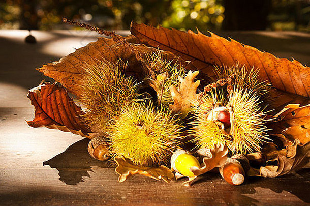 木桌上的一簇栗子、橡子和树叶；特有的秋意。