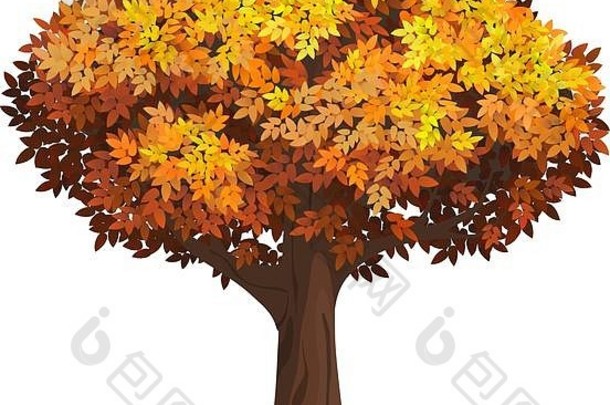 现实的孤零零的秋树。枝叶茂密的古树。