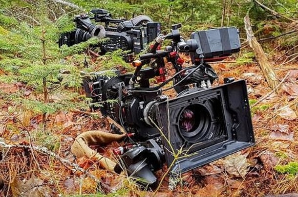 专业<strong>视频</strong>相机坐森林地板上