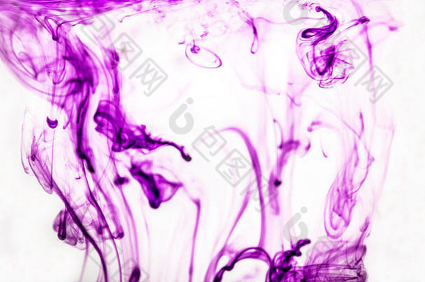抽象紫墨染料，水上混合，特写宏观