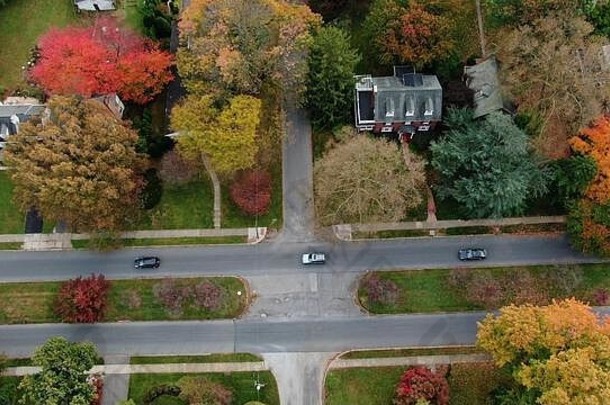 郊区住宅区域车道路下小巷树色彩鲜艳的秋天树叶花俏的住房豪华的附近传统的