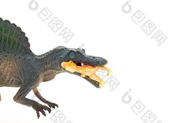 侧视图白色背景特写，灰色旋龙玩具捕捉一个较小的恐龙