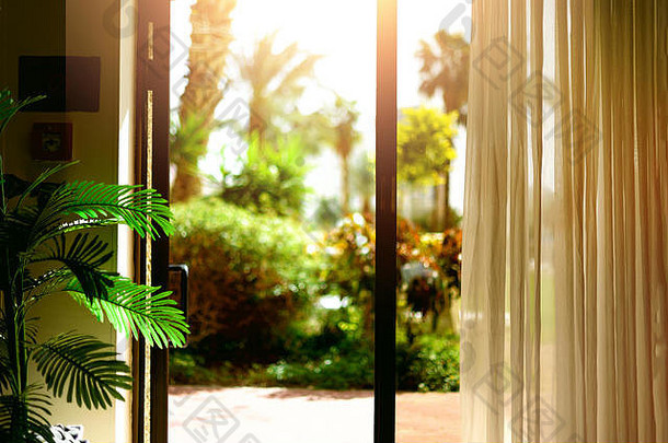 热带景观背景。<strong>暑期</strong>、<strong>旅游</strong>、度假、度假概念。打开窗户、门和白色窗帘，从酒店可以看到模糊的棕榈园景色。外来植物在阳光明媚的日子里，空间。