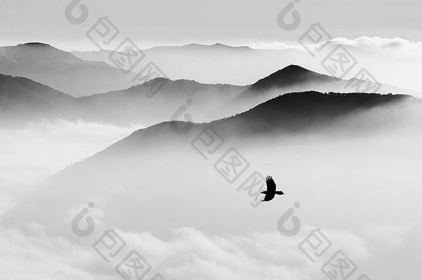 雾中群山的轮廓和鸟儿的飞翔