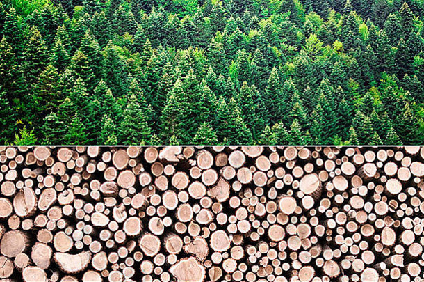 木材生产概念