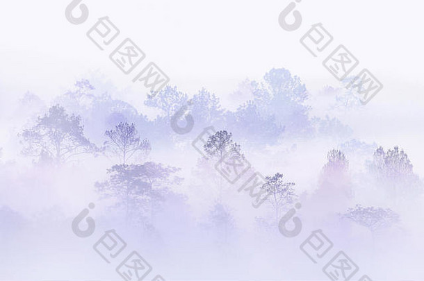 冬季早晨浓雾笼罩的森林剪影。雾山良好的生态环境理念。在泰国的户外位置非常好。