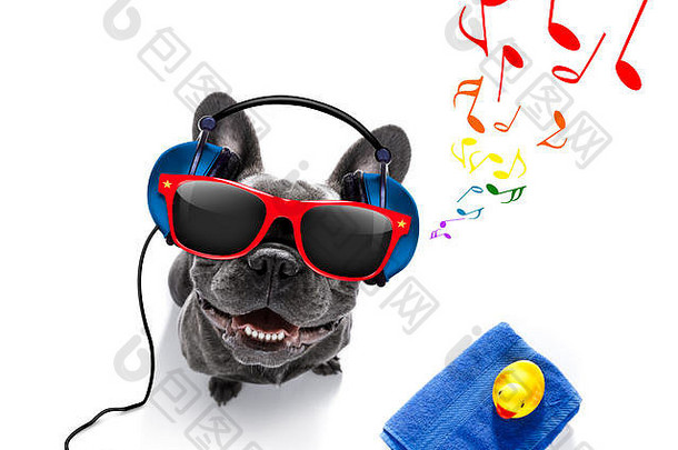 酷炫的dj法国斗牛犬，戴着耳机和mp3播放器听音乐或唱歌，周围都是音符，在白色背景上隔离，随时准备播放