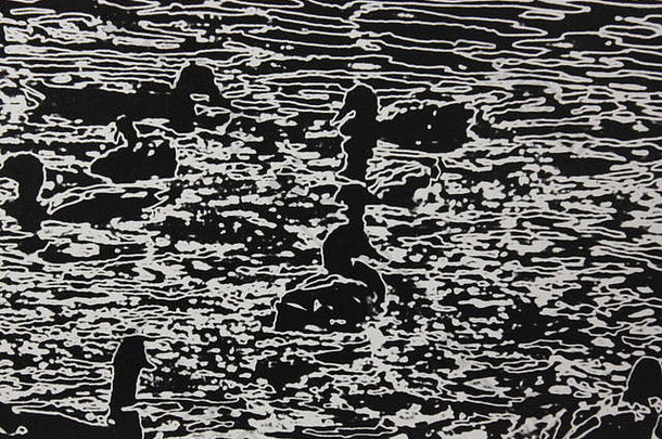 20世纪70年代的黑白艺术摄影作品，拍摄了一群鸭子在湖中游泳、撑杆、木筏、团队或划桨。