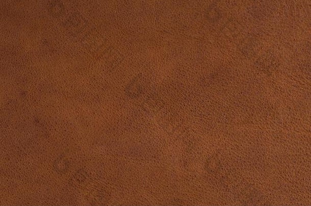 纹理棕色（的）难看的东西皮革背景艺术设计项目