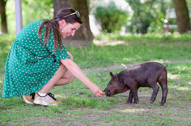 那个女孩喂小猪。在绿色的草地上。可持续发展的理念，热爱自然，尊重和平，热爱动物。生态的
