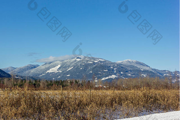 美丽的冬天景观雪山雪前景字段松树可见山覆盖