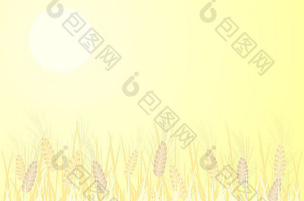 插图摘要图像成熟大麦场黄色的太阳夏天空间文本