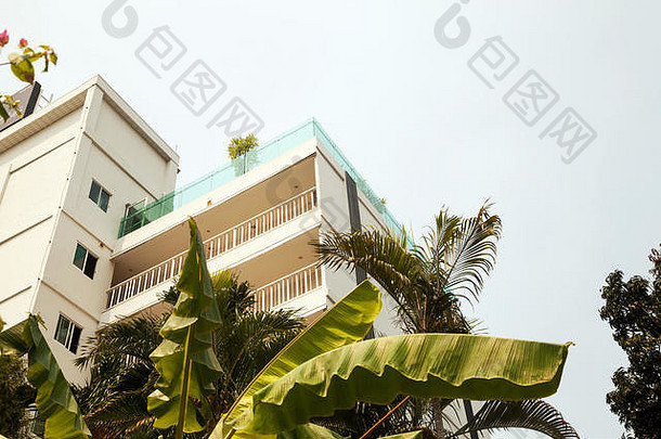 绿色棕榈树分支机构前面白色酒店背景复制空间美丽的奢侈品公寓建筑花园