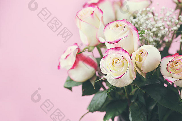 美丽的红色和白色玫瑰的花束与婴儿的呼吸在粉红色的背景下。有选择地聚焦前景中的玫瑰，并采用极浅的de