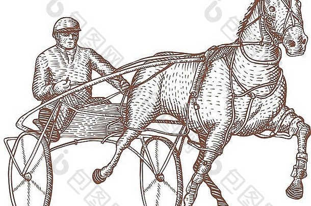 插图马骑师利用赛车孤立的白色背景复古的风格