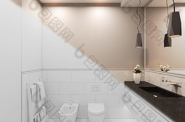 渲染室内厕所。。。私人小屋厕所。。。室内设计插图传统的现代风格