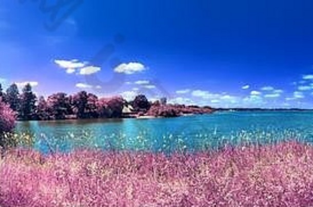 美丽的粉色和紫色红外全景图，展现了蓝天下的欧洲乡村景观
