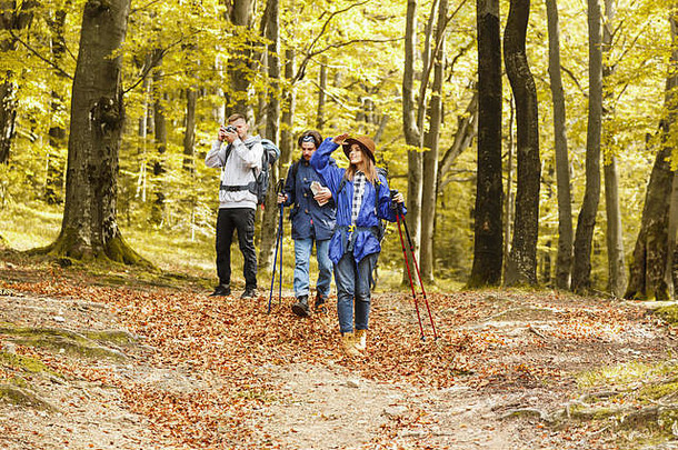 带着<strong>登山杖</strong>的年轻徒步朋友们在森林里散步，一起在森林里寻找一些地方