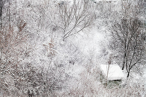 小白雪覆盖的小屋冬天森林