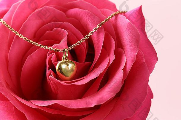 金色项链心形玫瑰花作为礼物