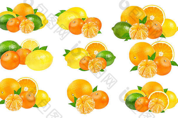 白色背景上分离的柑橘类水果套装（橘子、橘子、酸橙、柠檬）