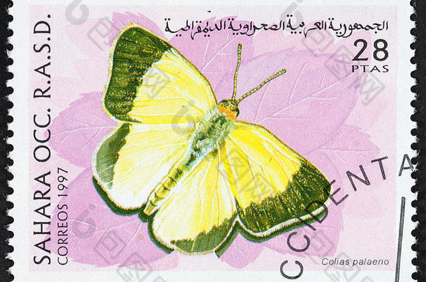 邮票阿拉伯民主共和国撒哈拉沙漠<strong>照片</strong>美丽<strong>的</strong>单<strong>蝴蝶</strong>印刷纸