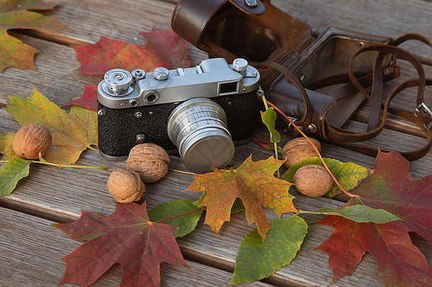 静物画秋天的心情图片与复古测距相机，皮革皮套，树叶和坚果的木制背景