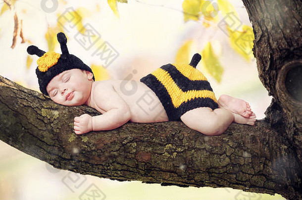 出生婴儿女孩穿着蜜蜂分支树