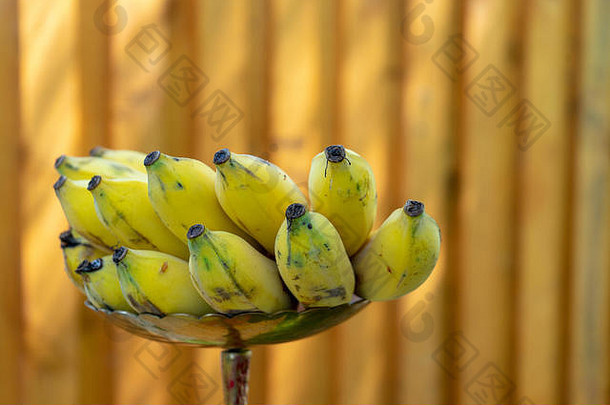 香蕉梳子局部亚洲泰国水果黄色的颜色准备好了吃躺不锈钢板户外场垂直木模糊