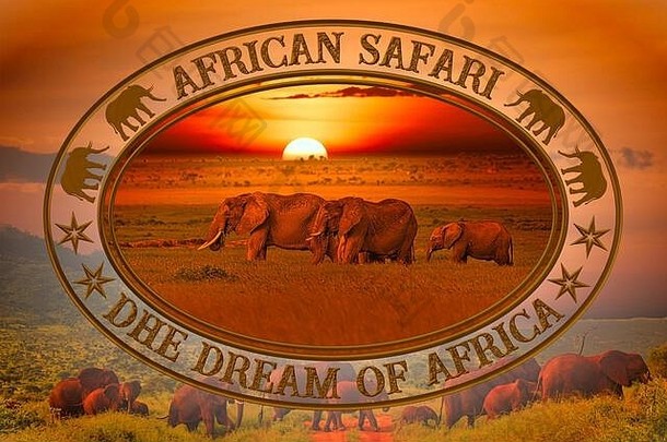 美丽的非洲日落和日出图片，大象和长颈鹿