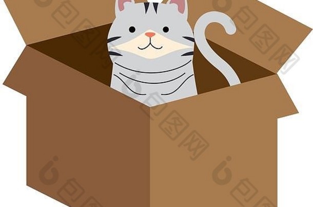 可爱的猫吉祥物纸箱盒子字符