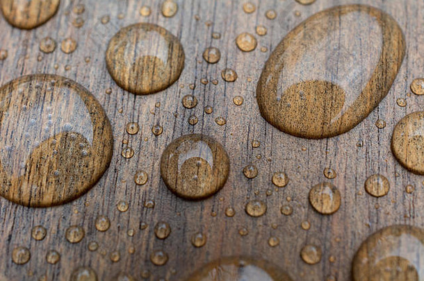木头上水滴的特写镜头。
