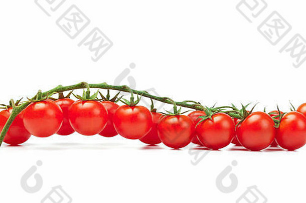 西红柿pachino白色背景