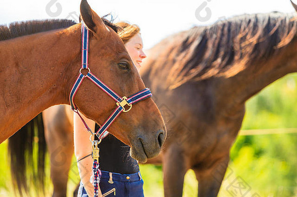爱护动物，爱和友谊的理念。在阳光明媚的日子里，一位年轻的骑师正在抚摸一匹棕色的马
