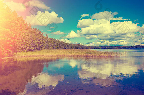 湖边有树木和蓝天。美丽的自然芬兰