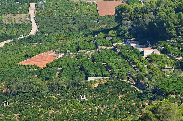西班牙地中海巴伦西亚地区Xeresa（La Safor）沿海平原的柑橘园