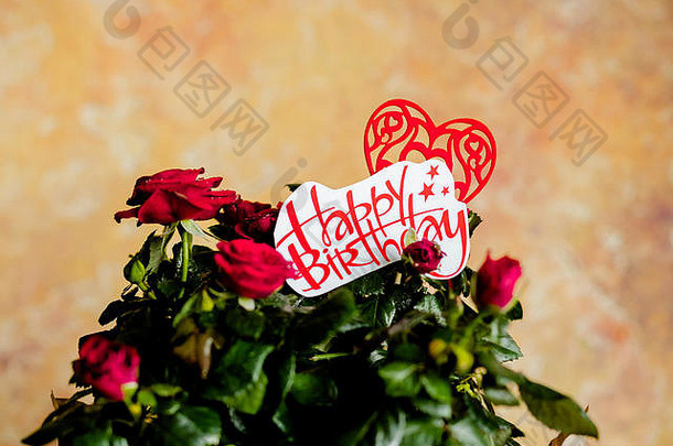 木背景上有红色心形的红玫瑰。有美丽的红玫瑰的生日卡。红色的花朵和祝福生日快乐，