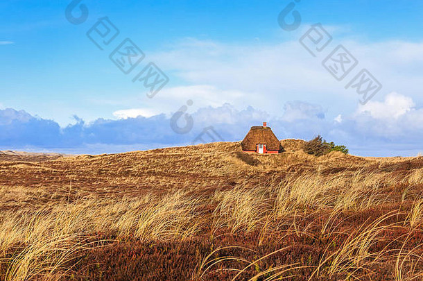 沙丘上的丹麦传统房屋