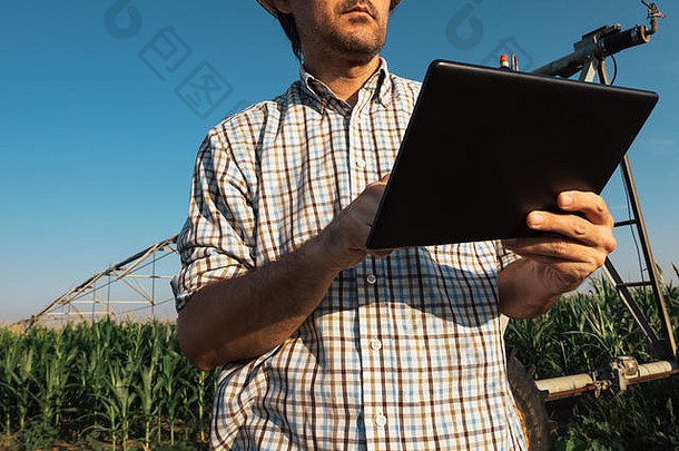 有关农民平板电脑电脑玉米田灌溉系统操作温暖的夏天一天