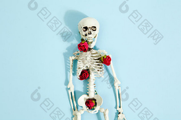 孤立的塑料玩具骨架红色的玫瑰骨头充满活力的流行蓝色的绿松石背景最小的颜色生活摄影