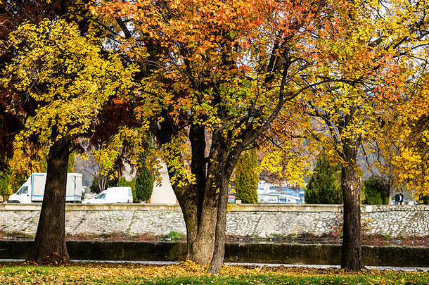 秋天季节色彩斑斓的树下降叶子秋天公园美丽的秋天路径