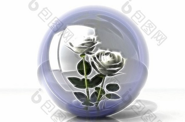 泡沫中的白玫瑰
