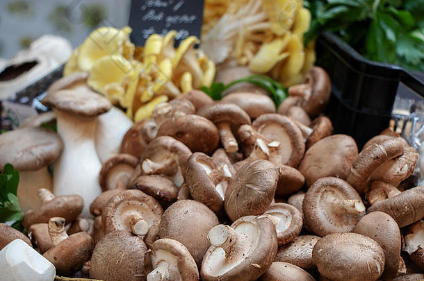 及新鲜的蘑菇区市场伦敦