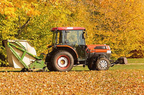用拖拉机牵引的真空吸尘器在秋季公园工作。