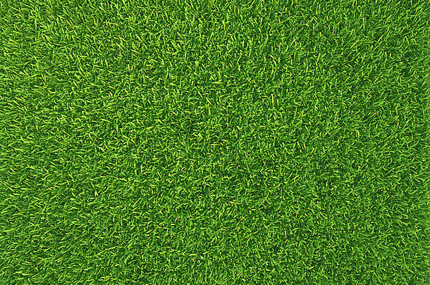 绿草。自然背景纹理。春暖花开
