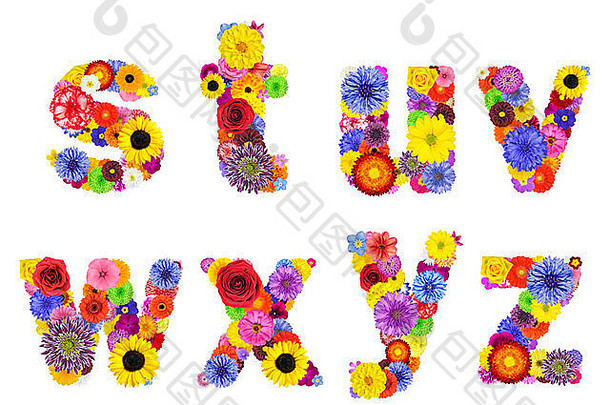 白色的花字母。八个字母S、T、U、V、W、X、Y、Z由许多色彩鲜艳的原始花朵组成