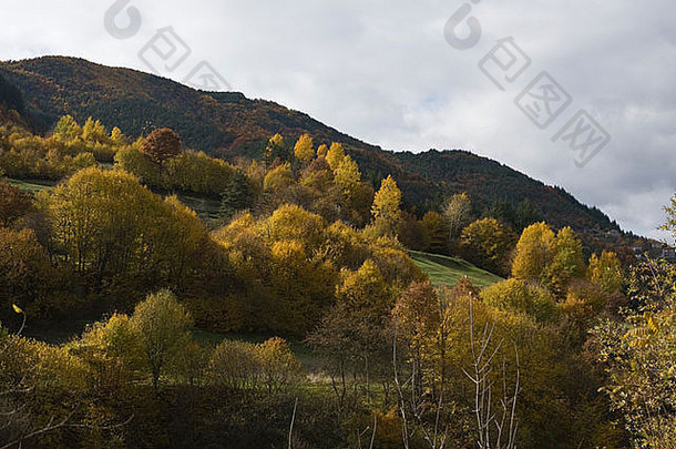 秋季景观，罗多，巴尔干半岛，保加利亚，东欧